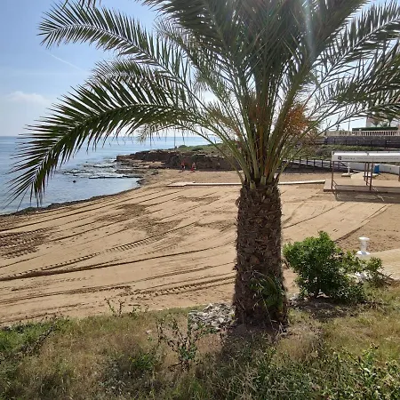 Fantastic Seaview